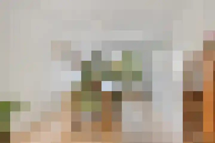Rietzoom 14 Meppel thumbnail 13