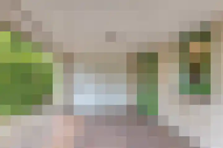 Rietzoom 14 Meppel thumbnail 19