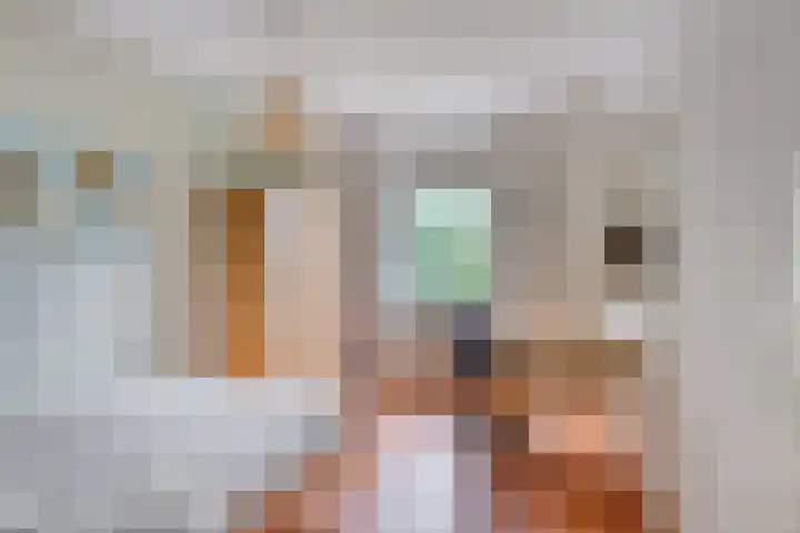 Rietzoom 14 Meppel thumbnail 26