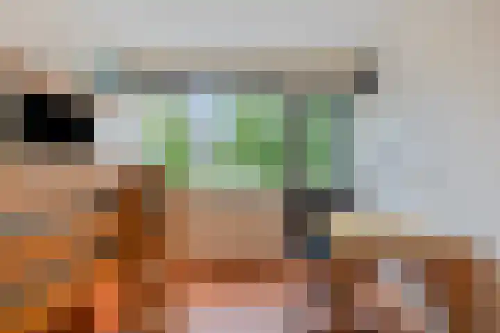 Rietzoom 14 Meppel thumbnail 28