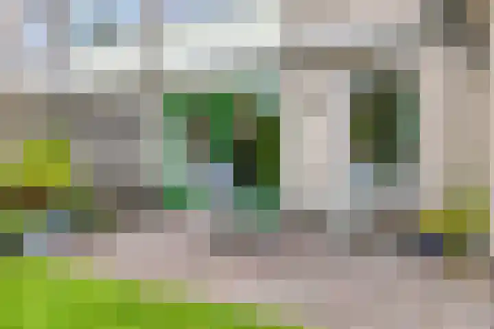 Rietzoom 14 Meppel thumbnail 37