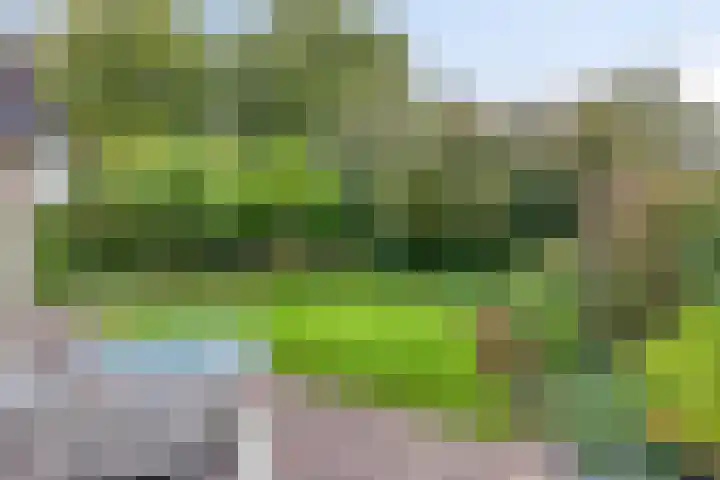 Rietzoom 14 Meppel thumbnail 39