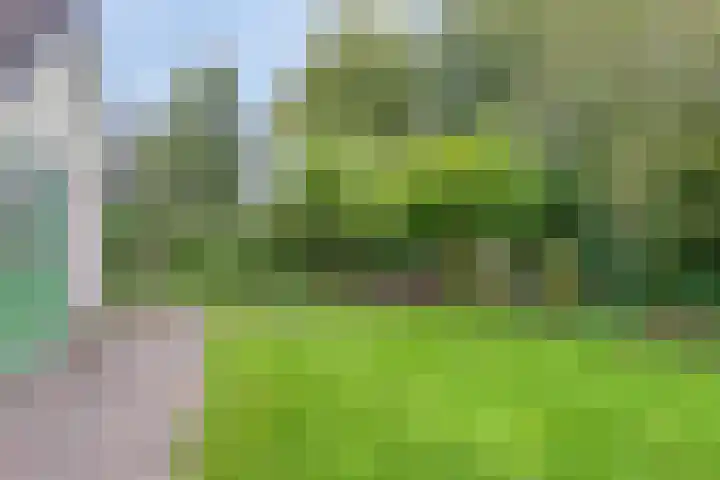Rietzoom 14 Meppel thumbnail 40