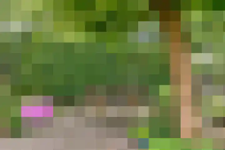 Rietzoom 14 Meppel thumbnail 41