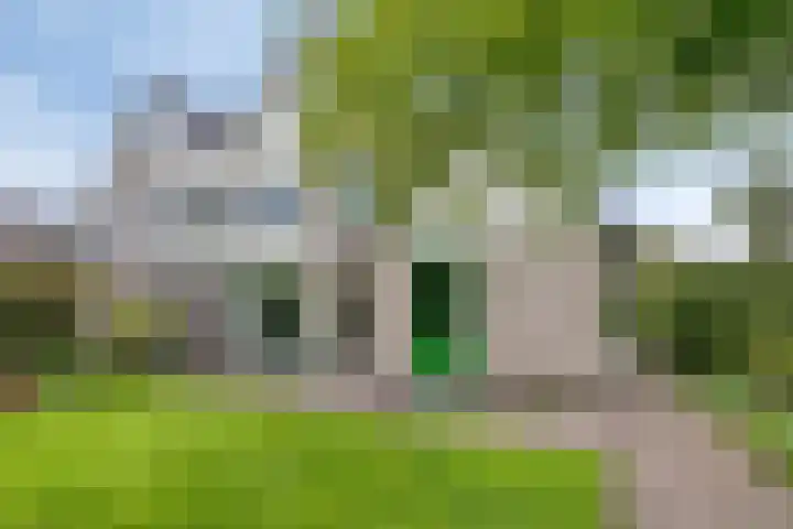 Rietzoom 14 Meppel thumbnail 42