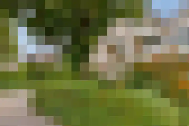 Rietzoom 14 Meppel thumbnail 46