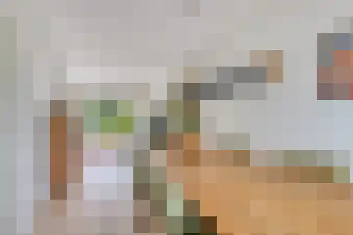 Rietzoom 14 Meppel thumbnail 7