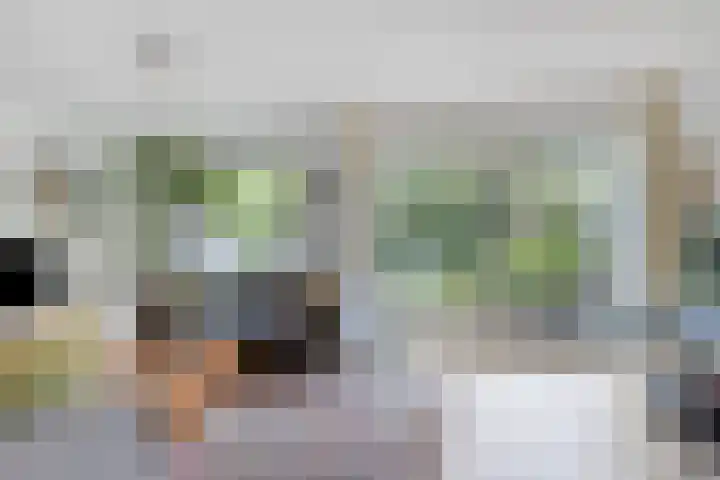 Rietzoom 14 Meppel thumbnail 8