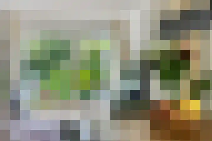 Rietzoom 14 Meppel thumbnail 9