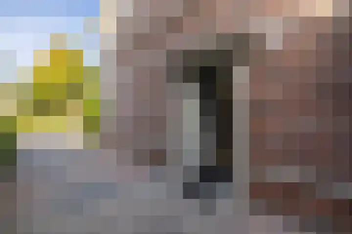 Rigastraat 72 Lelystad thumbnail 13