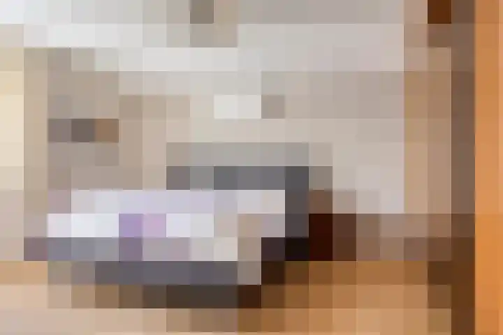 Rigolettolaan 7 Oldenzaal thumbnail 18