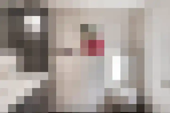Rigolettolaan 7 Oldenzaal thumbnail 23