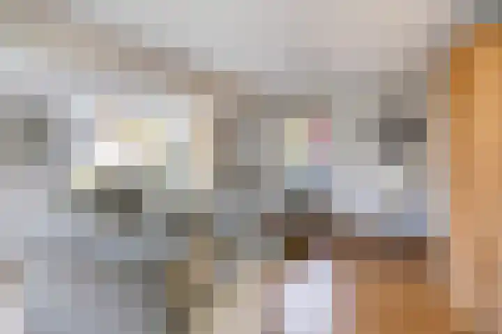 Rigolettolaan 7 Oldenzaal thumbnail 4