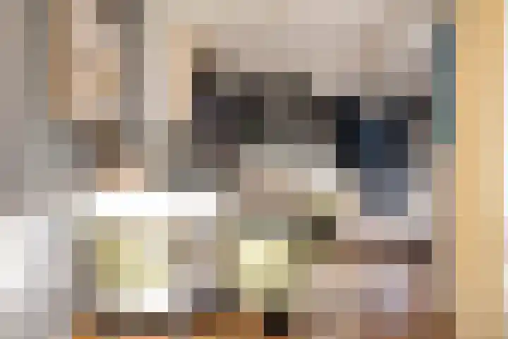 Rigolettolaan 7 Oldenzaal thumbnail 8