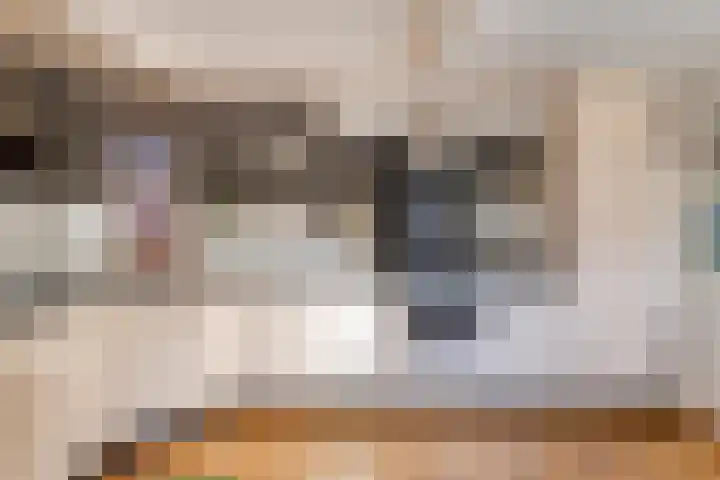 Rigolettolaan 7 Oldenzaal thumbnail 9