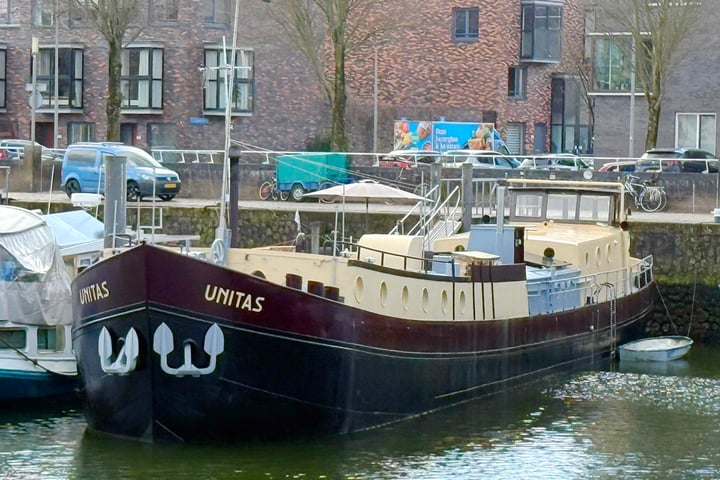 Rijksboom 90 in Rotterdam foto