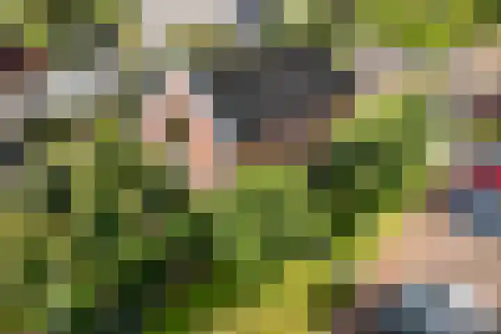 Rijksweg 138 dans Jirnsum
