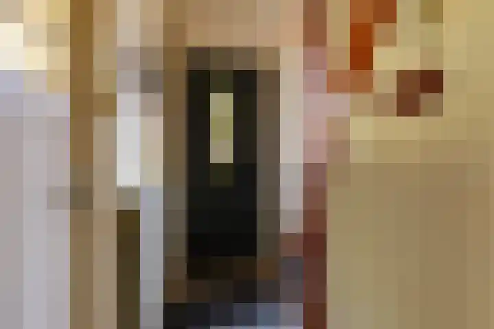 Rijksweg 145 Ten Post thumbnail 10