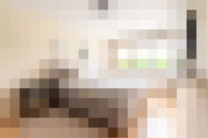 Rijksweg 145 Ten Post thumbnail 14