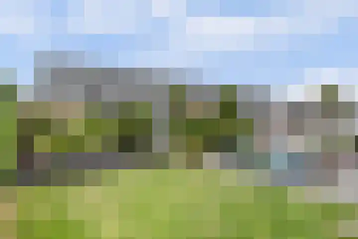 Rijksweg 145 Ten Post thumbnail 28