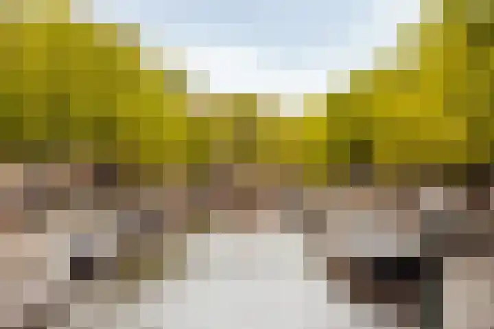 Rijksweg 145 Ten Post thumbnail 33