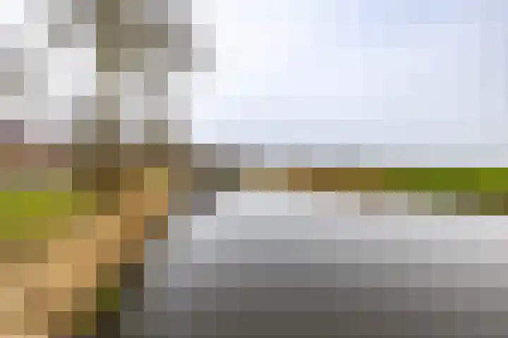 Rijksweg 145 Ten Post thumbnail 5