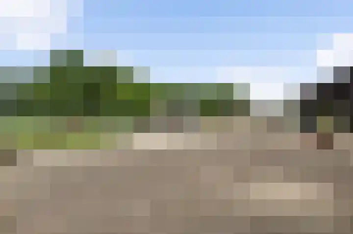 Rijksweg 15 Baexem thumbnail 11