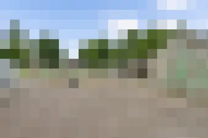 Rijksweg 15 Baexem thumbnail 12