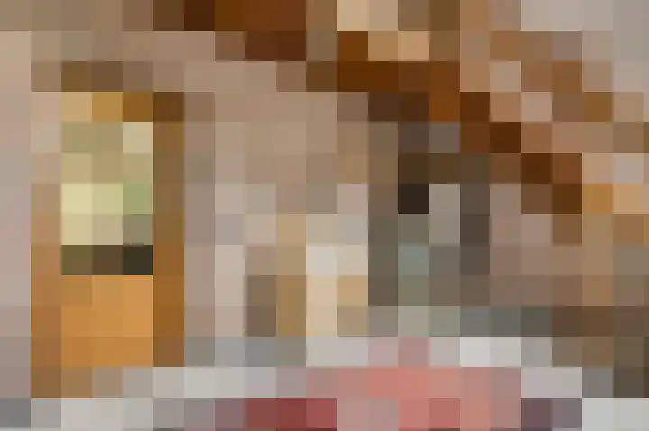 Rijksweg 15 Baexem thumbnail 13