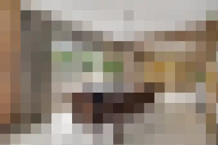Rijksweg 15 Baexem thumbnail 20