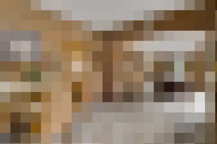 Rijksweg 15 Baexem thumbnail 22