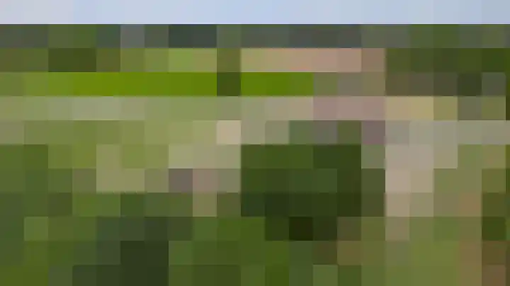 Rijksweg 15 Baexem foto 3