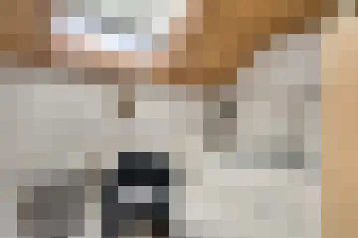Rijksweg 15 Baexem thumbnail 31