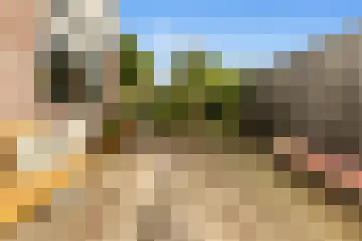 Rijksweg 182 Limmen thumbnail 21
