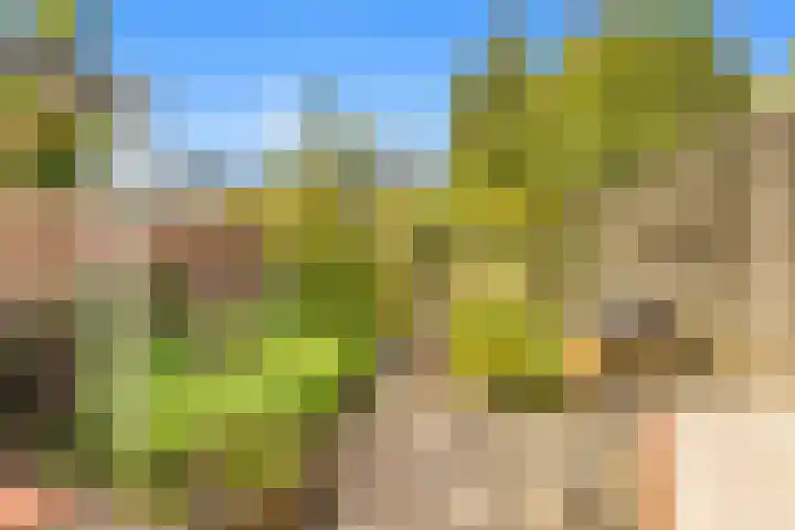 Rijksweg 182 Limmen thumbnail 27