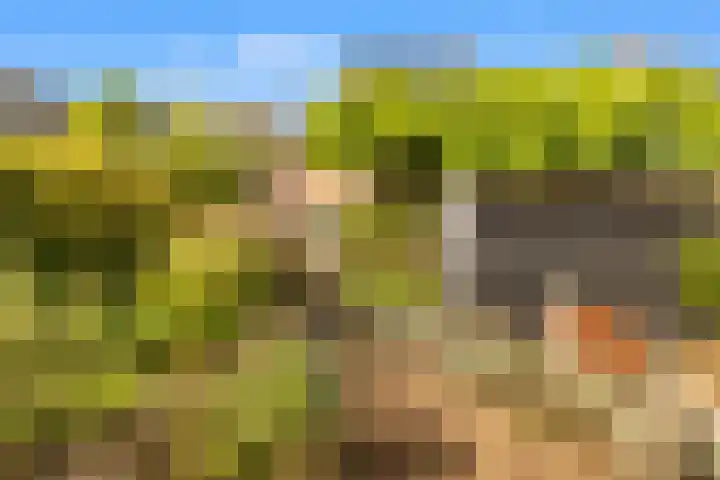 Rijksweg 182 Limmen thumbnail 28