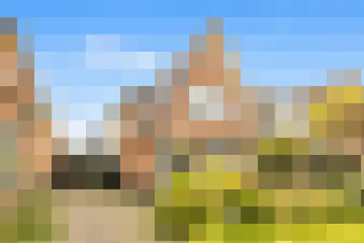 Rijksweg 182 Limmen thumbnail 44