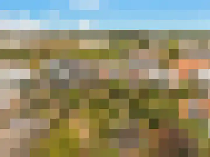 Rijksweg 182 Limmen thumbnail 5