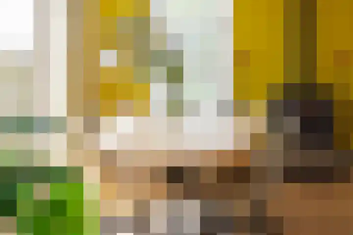 Rijksweg 2 Ten Post thumbnail 18
