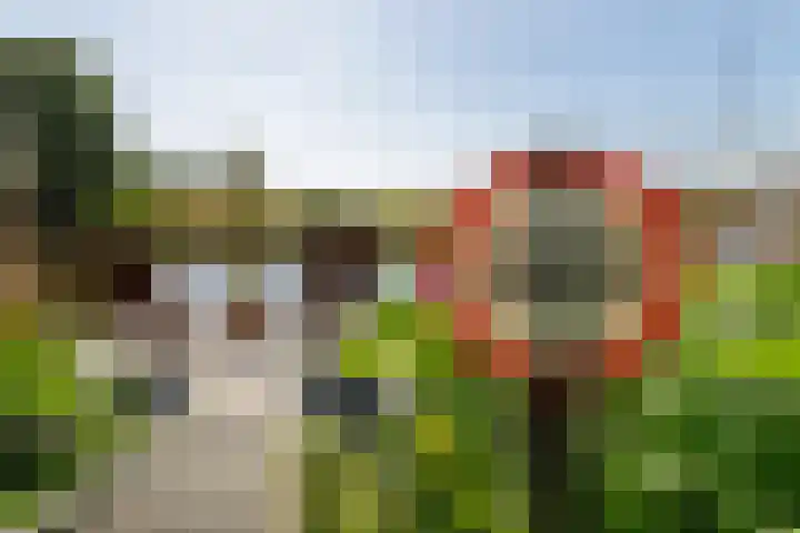 Rijksweg 2 Ten Post thumbnail 33