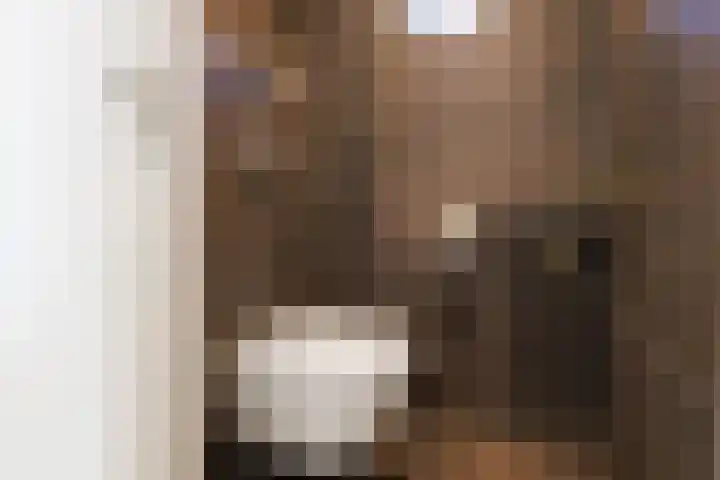 Rijksweg 2 Ten Post thumbnail 45