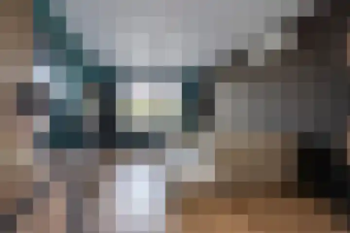 Rijksweg 2 Ten Post thumbnail 49