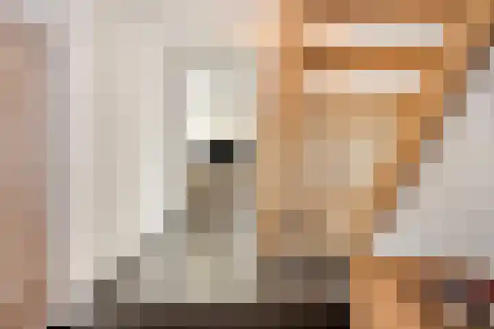 Rijksweg 2 Ten Post thumbnail 55