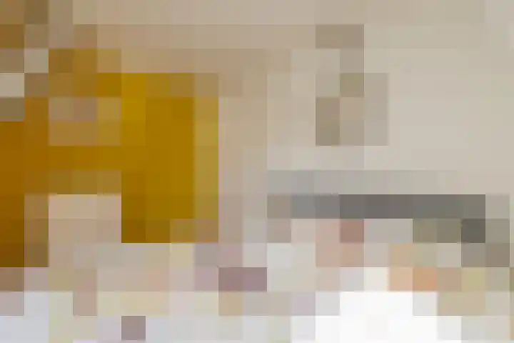Rijksweg 2 Ten Post thumbnail 66