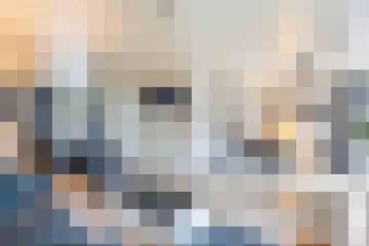 Rijksweg 2 Ten Post thumbnail 67