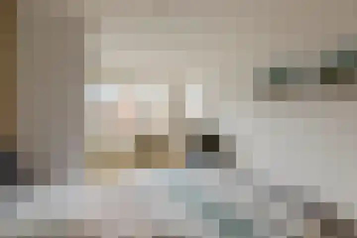 Rijksweg 221 in Ten Post