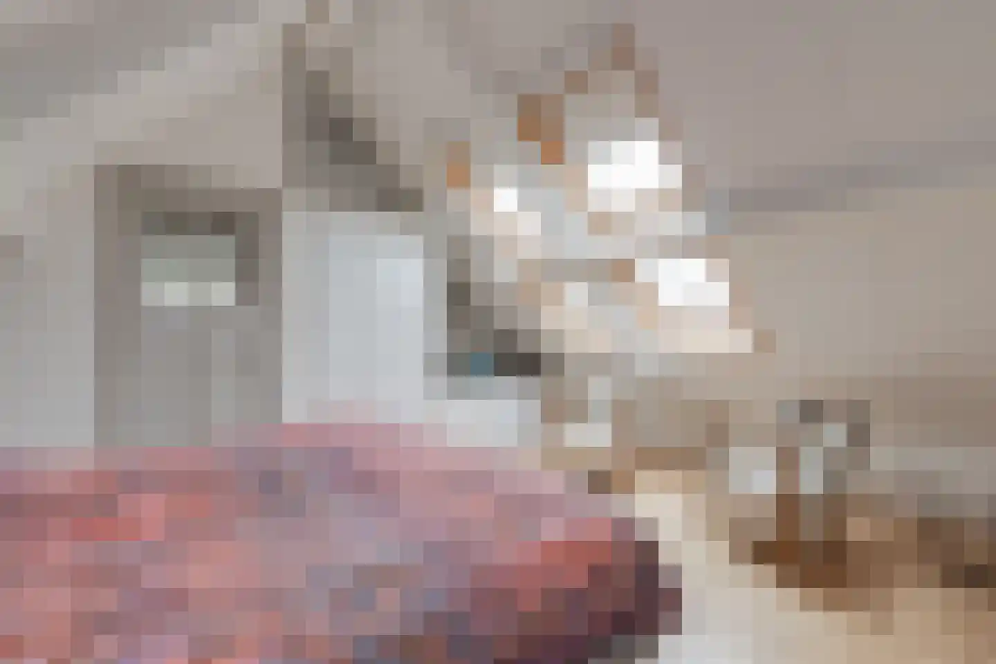 Rijksweg 25 A Drempt thumbnail 24