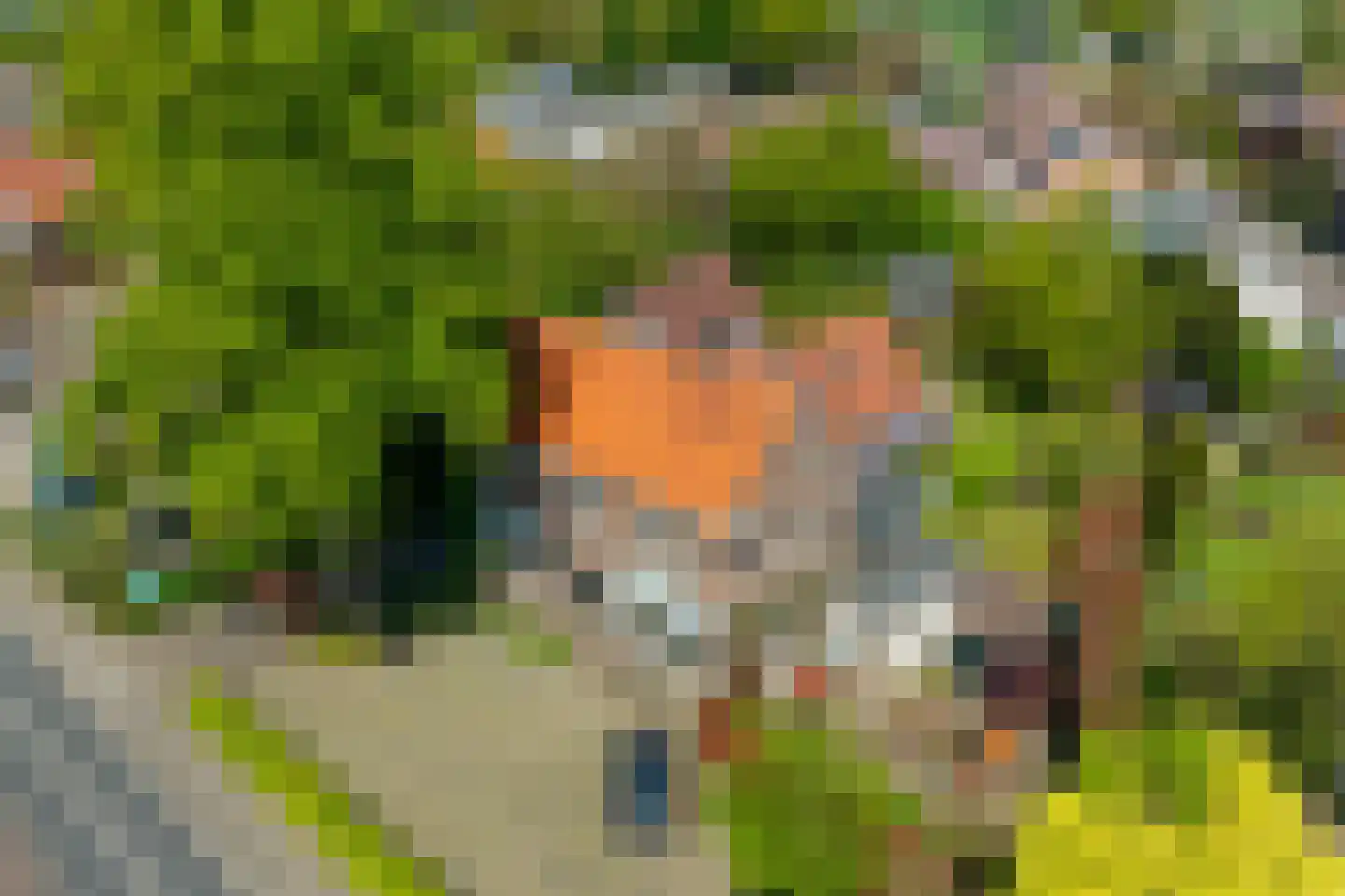 Rijksweg 25 A Drempt thumbnail 42