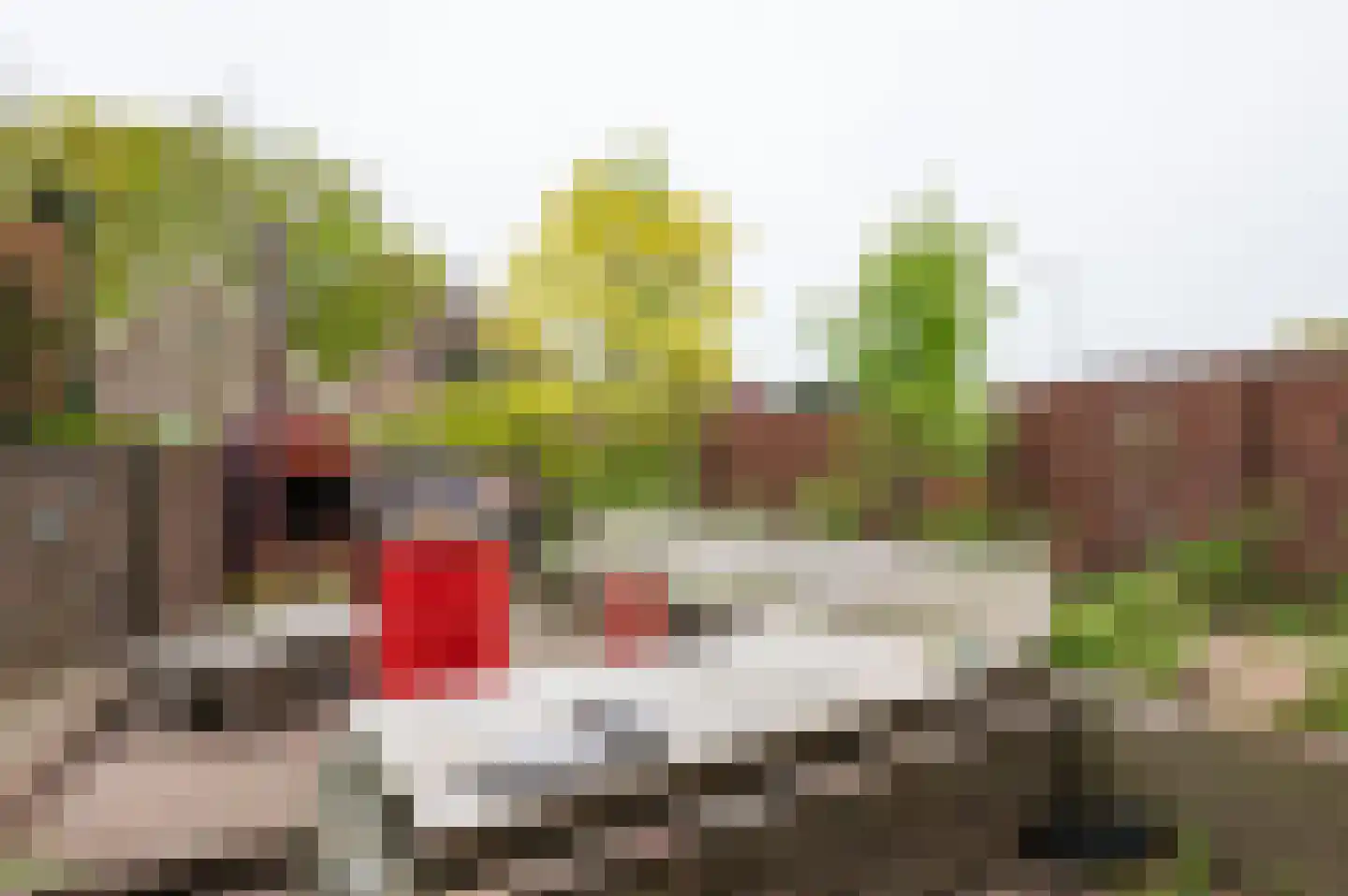 Rijksweg 25 A Drempt thumbnail 47