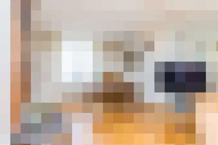 Rijksweg 29 Linne thumbnail 11